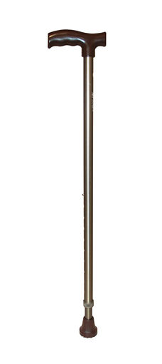 Picture of TYNOR WALKING STICK (L TYPE)