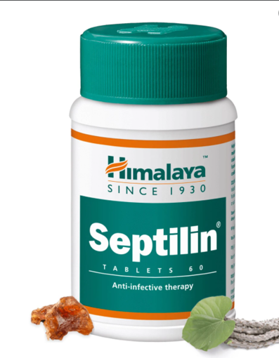 Picture of HIMALAYA SEPTILIN TABLET 1*60